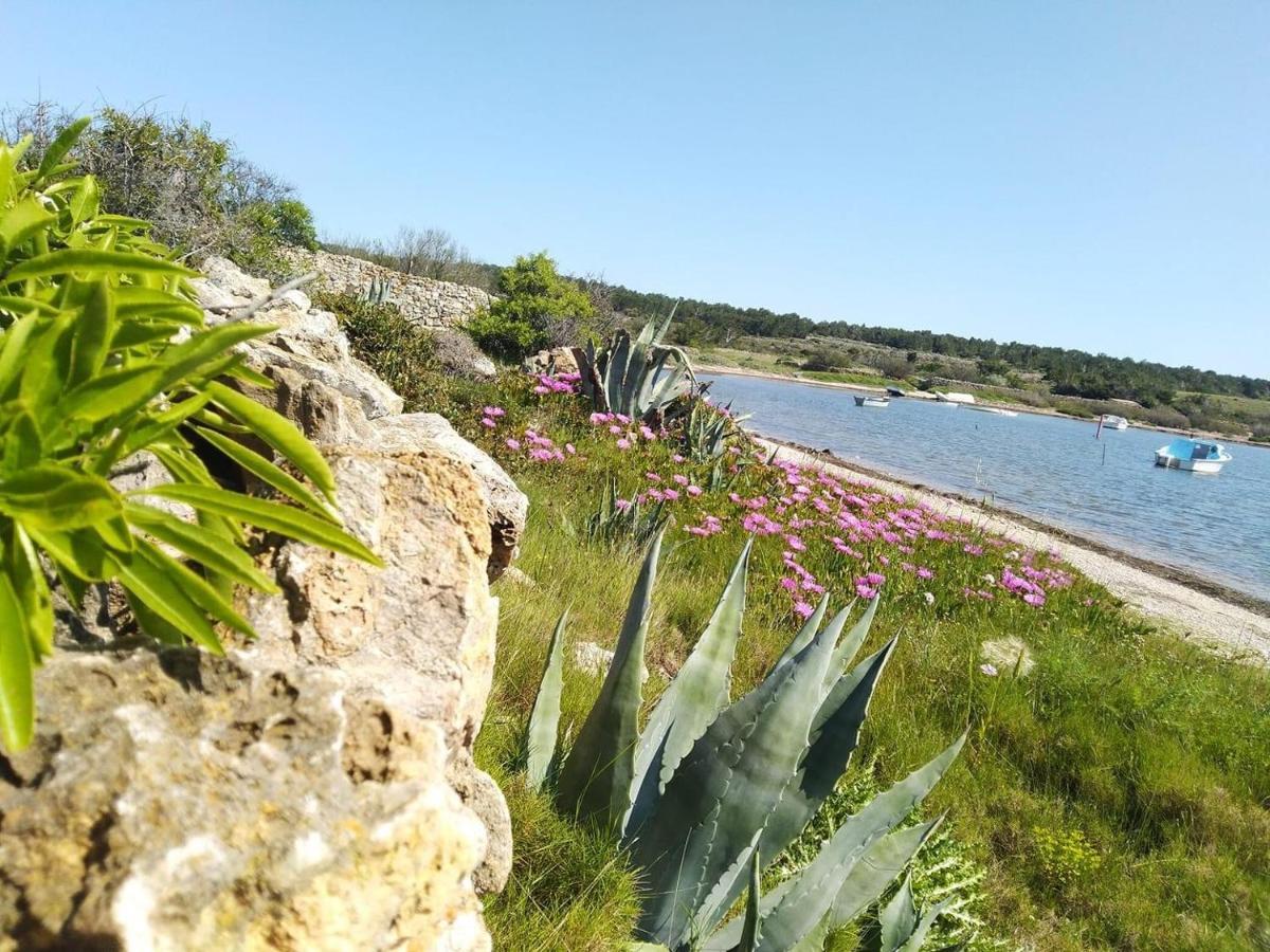 Studio Nefs Des Sables Leucate Exterior foto